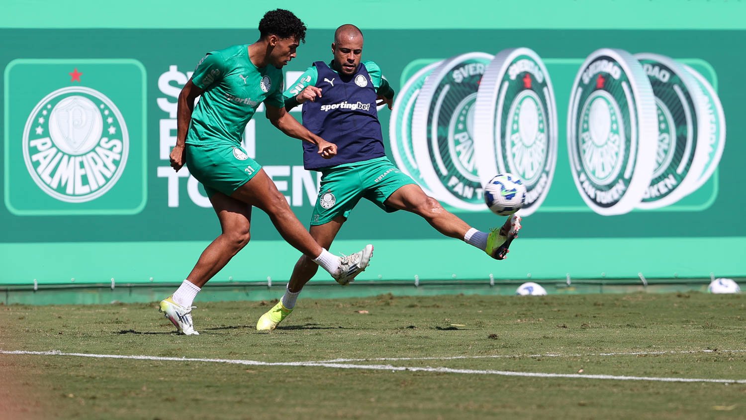 (Foto: Cesar Greco/Palmeiras/by Canon)